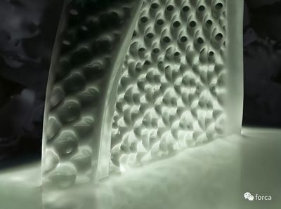 【產品】都是300刀,你會選哪雙球鞋呢?