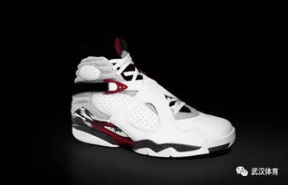 球鞋文化 air jordan球鞋系列介紹 中